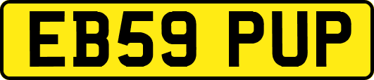 EB59PUP