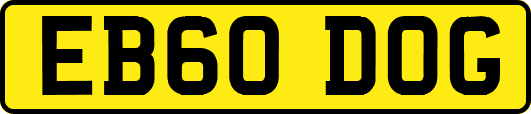 EB60DOG