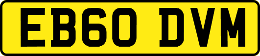 EB60DVM