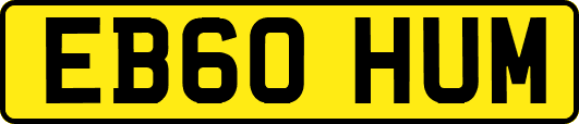 EB60HUM