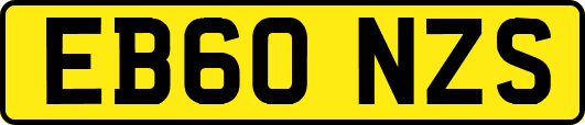 EB60NZS