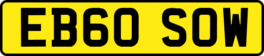 EB60SOW