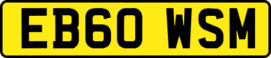 EB60WSM