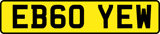 EB60YEW