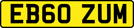 EB60ZUM