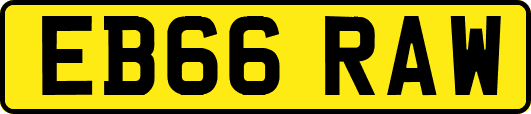 EB66RAW