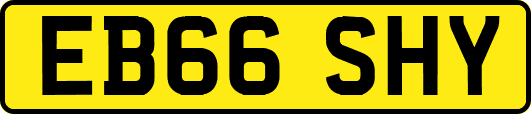 EB66SHY