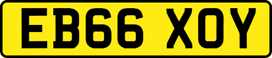 EB66XOY