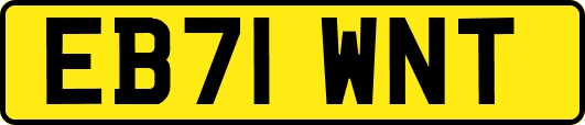 EB71WNT