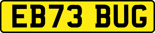 EB73BUG