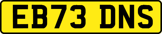 EB73DNS