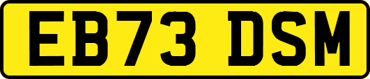 EB73DSM