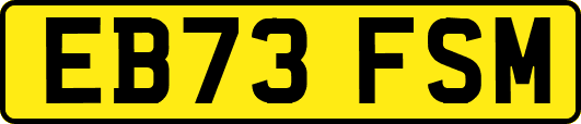 EB73FSM