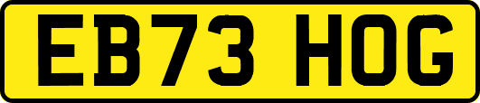 EB73HOG