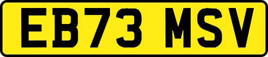 EB73MSV
