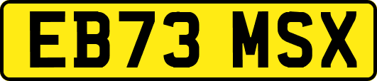 EB73MSX