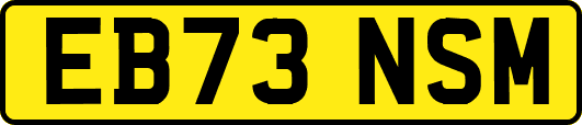 EB73NSM