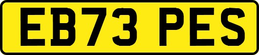 EB73PES
