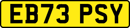 EB73PSY