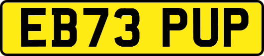 EB73PUP