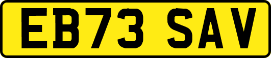 EB73SAV