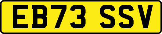 EB73SSV