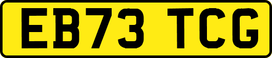 EB73TCG