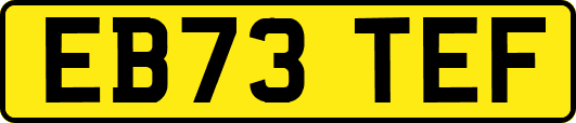 EB73TEF