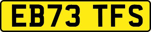 EB73TFS