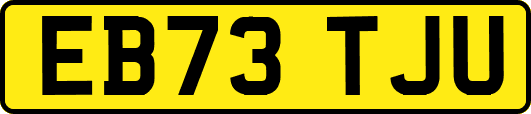 EB73TJU