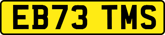 EB73TMS