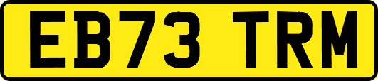 EB73TRM