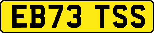 EB73TSS