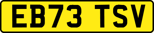 EB73TSV