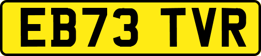 EB73TVR