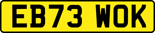 EB73WOK