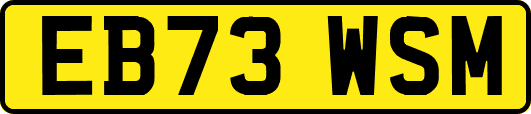 EB73WSM