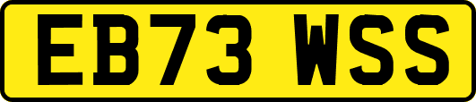 EB73WSS