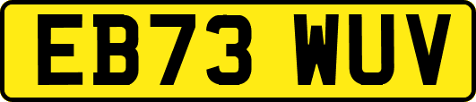 EB73WUV