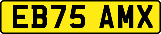 EB75AMX
