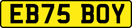 EB75BOY