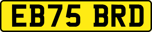 EB75BRD