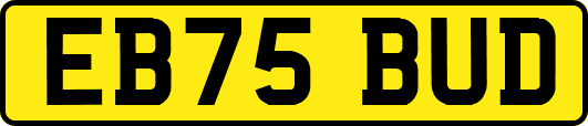 EB75BUD