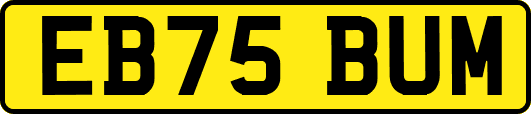 EB75BUM
