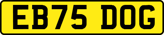 EB75DOG