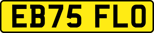 EB75FLO