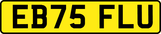 EB75FLU