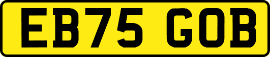 EB75GOB