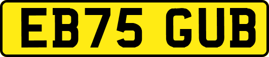 EB75GUB