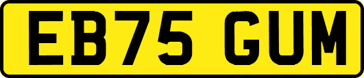 EB75GUM
